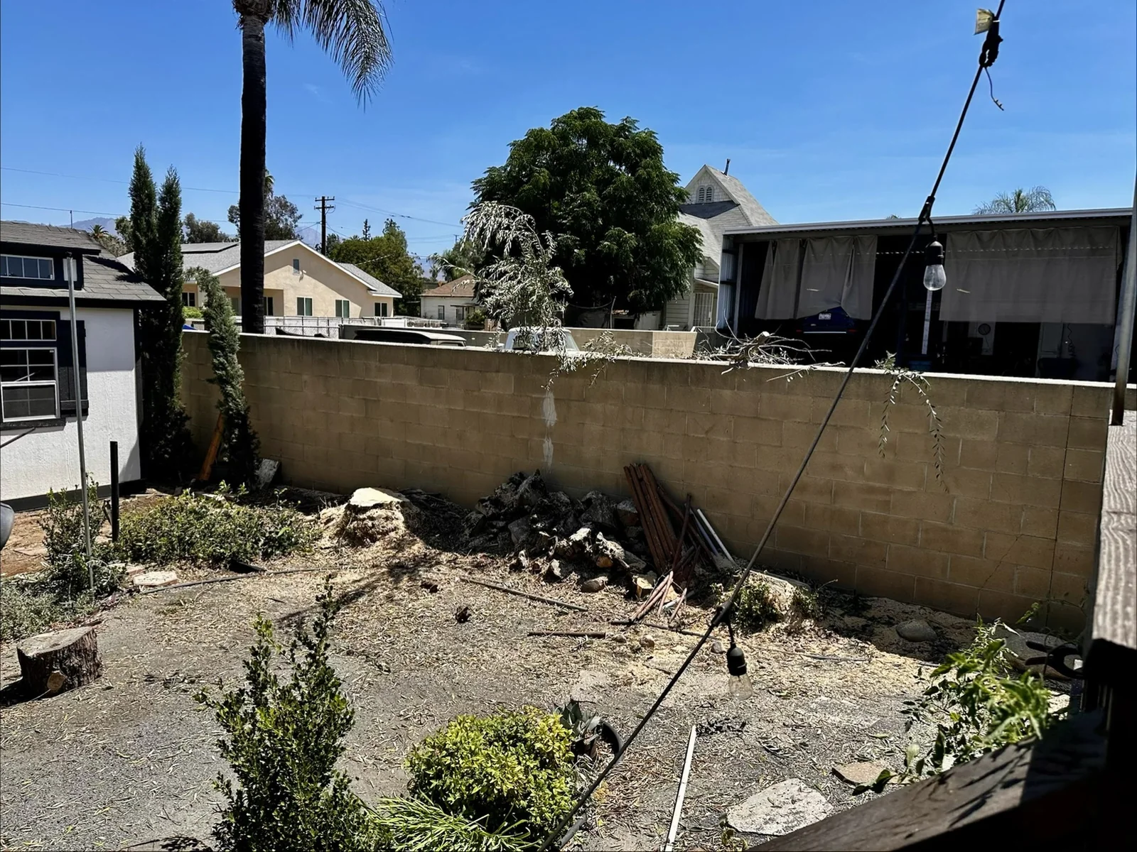 Cleared yard after olive tree removal